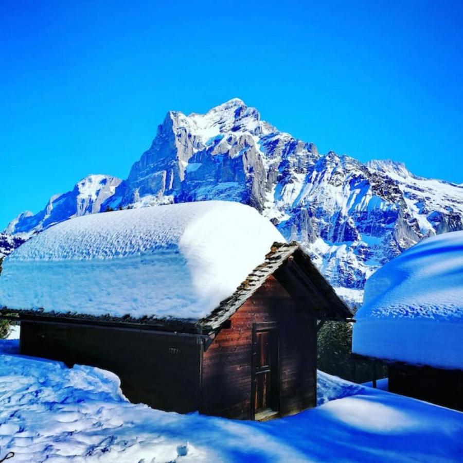 Swisshut Stunning Views Alps Lake - Chalet Erli Darligen Ngoại thất bức ảnh