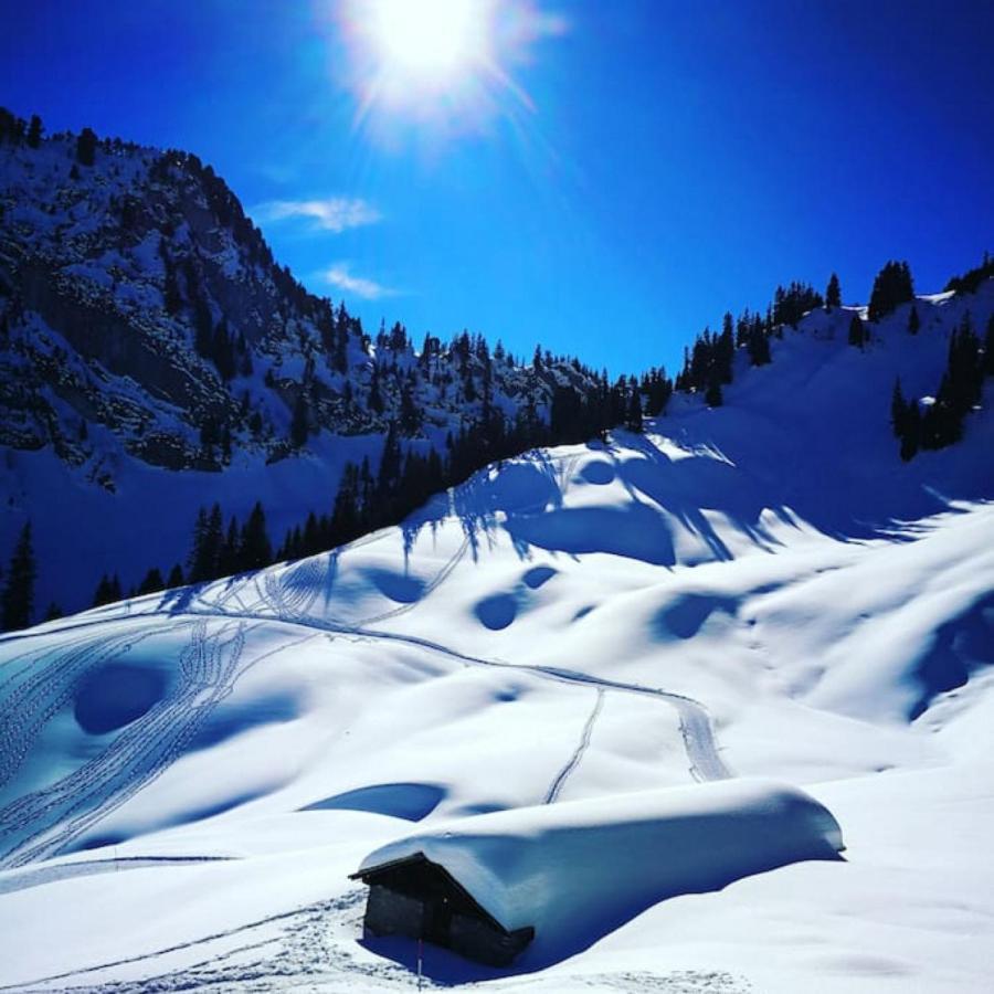 Swisshut Stunning Views Alps Lake - Chalet Erli Darligen Ngoại thất bức ảnh