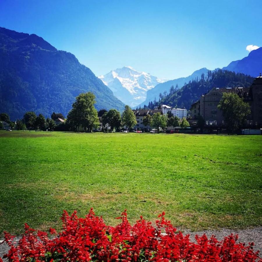 Swisshut Stunning Views Alps Lake - Chalet Erli Darligen Ngoại thất bức ảnh